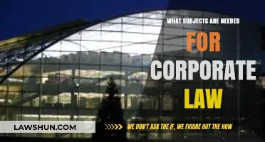 Essential Subjects for Aspiring Corporate Lawyers: A Comprehensive Guide
