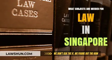 Essential Subjects for Pursuing a Law Degree in Singapore