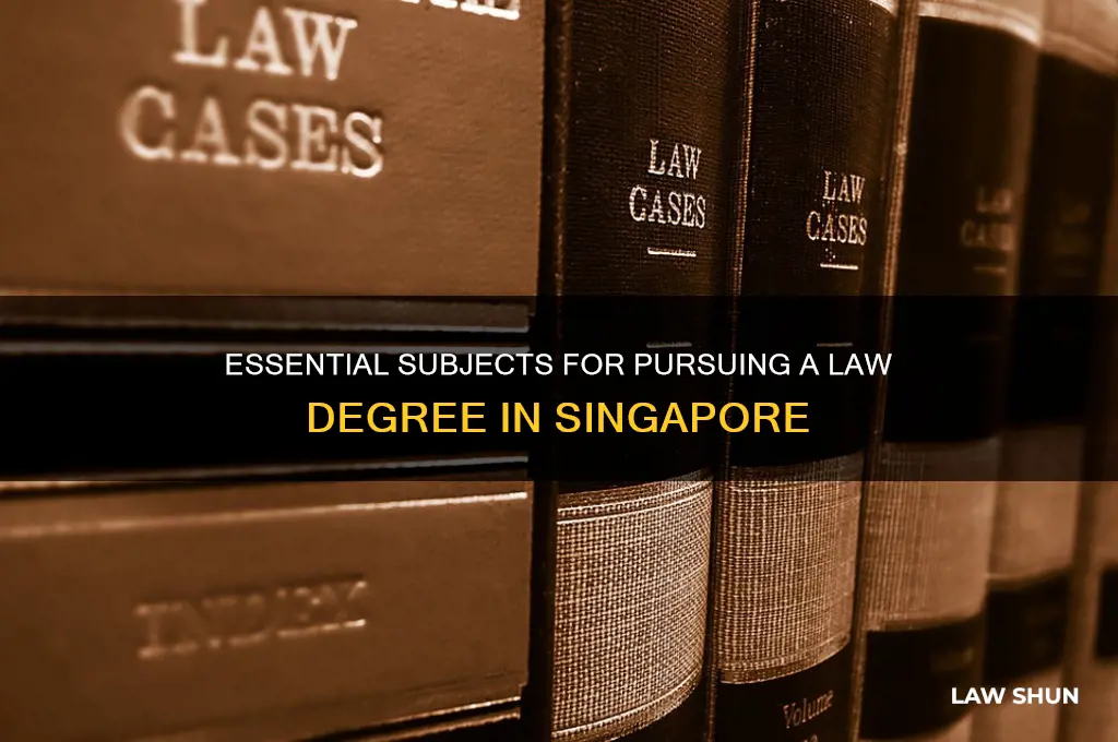 what subjects are needed for law in singapore