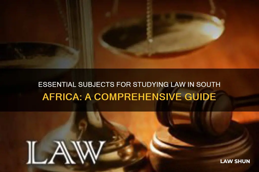 what subjects are needed for law in south africa