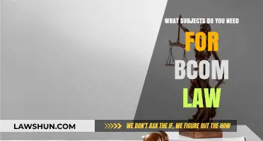 Essential Subjects for Pursuing a BCom Law Degree Explained