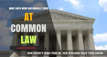 Common Law's Historical Focus: Suits and Their Nature