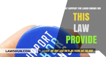 How the New Law Strengthened Labor Unions' Rights and Support
