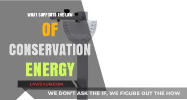 Understanding the Foundations of Energy Conservation: Key Principles Explained