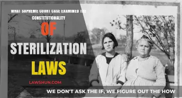 Sterilization Laws: Supreme Court's Take on Constitutionality