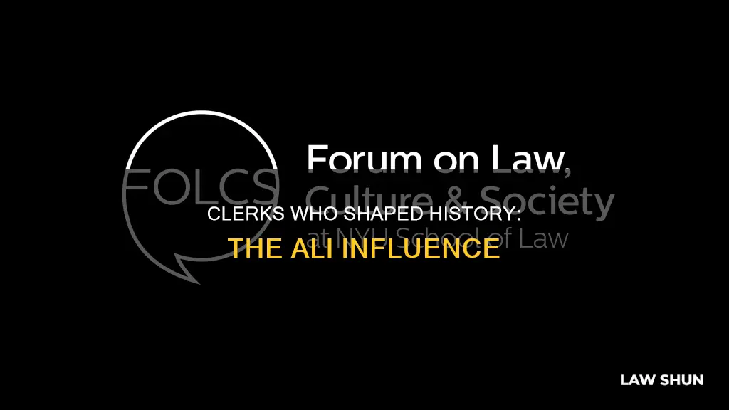 what supreme court law clerk influenced the ali case
