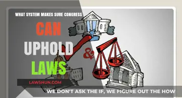 Congressional Checks and Balances: Upholding Law and Order