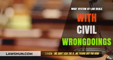 Understanding Tort Law: Addressing Civil Wrongs and Seeking Justice