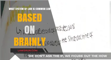 Common Law: Understanding Its Historical Roots