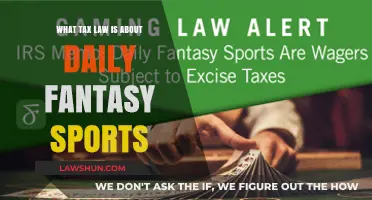 Fantasy Sports: Tax Law and Daily Operations