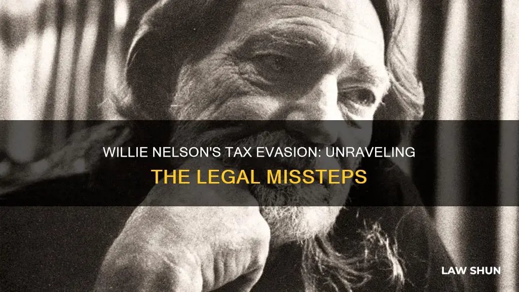 what tax laws did willie nelson break