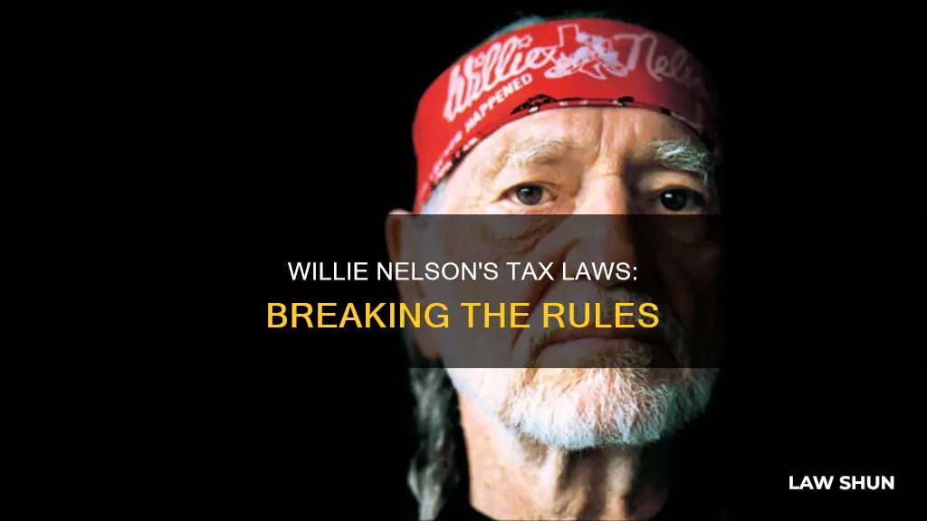 what tax laws did willie nelson break