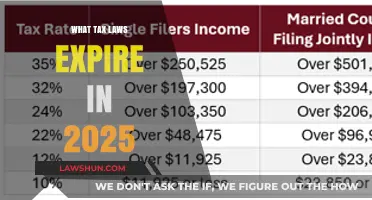 Tax Laws: What's Expiring in 2025?