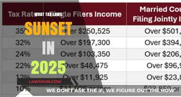 Tax Laws: What's Expiring in 2025?