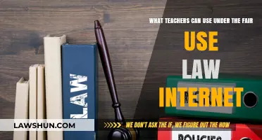 Fair Use Law: Teachers' Guide to Internet Usage