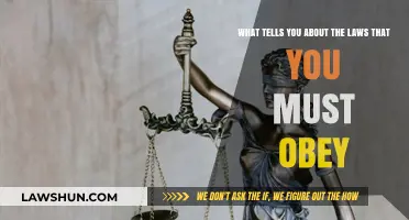 Understanding Legal Obligations: What Tells You About Laws to Obey