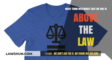 Equality Under the Law: Understanding the Principle of No One Above It