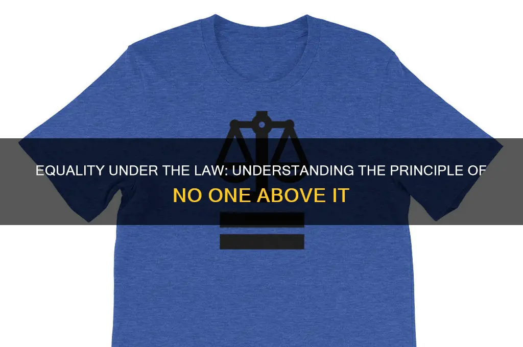 what term describes that no one is above the law