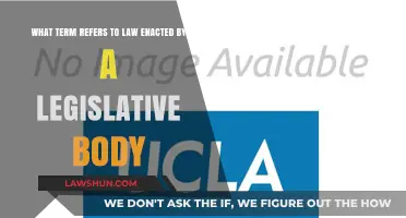 Understanding Statutory Law: Legislation Enacted by Government Bodies Explained