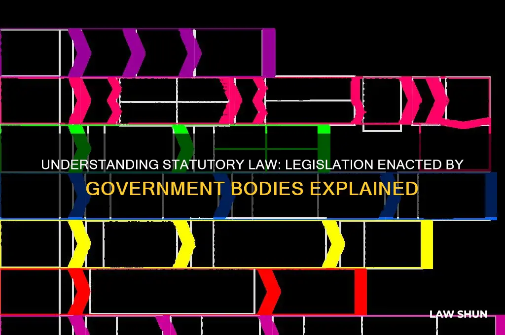 what term refers to law enacted by a legislative body