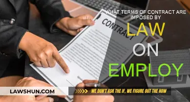 Contractual Terms: Legal Obligations for Employers
