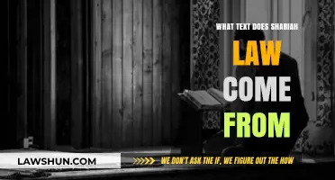 Understanding Shariah Law: Origins and Scriptural Sources Explained
