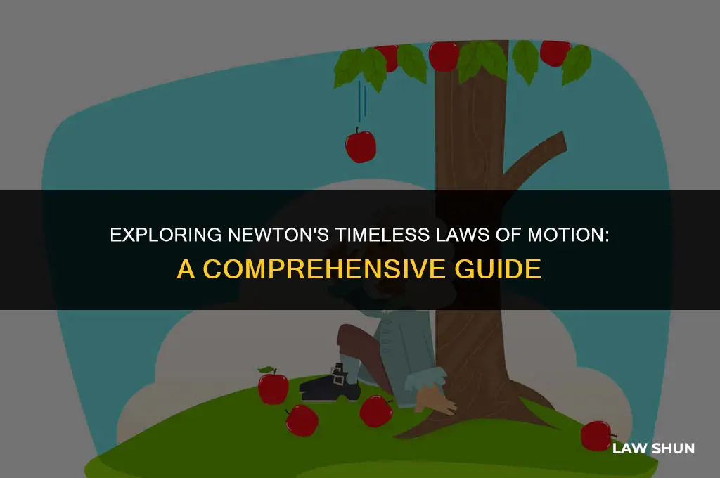 what the 3 laws of motion