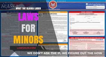 Alaska Labor Laws for Minors: Understanding Work Rules for Teens