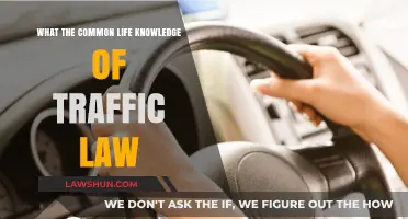 Traffic Laws: Vital Life Lessons You Must Know