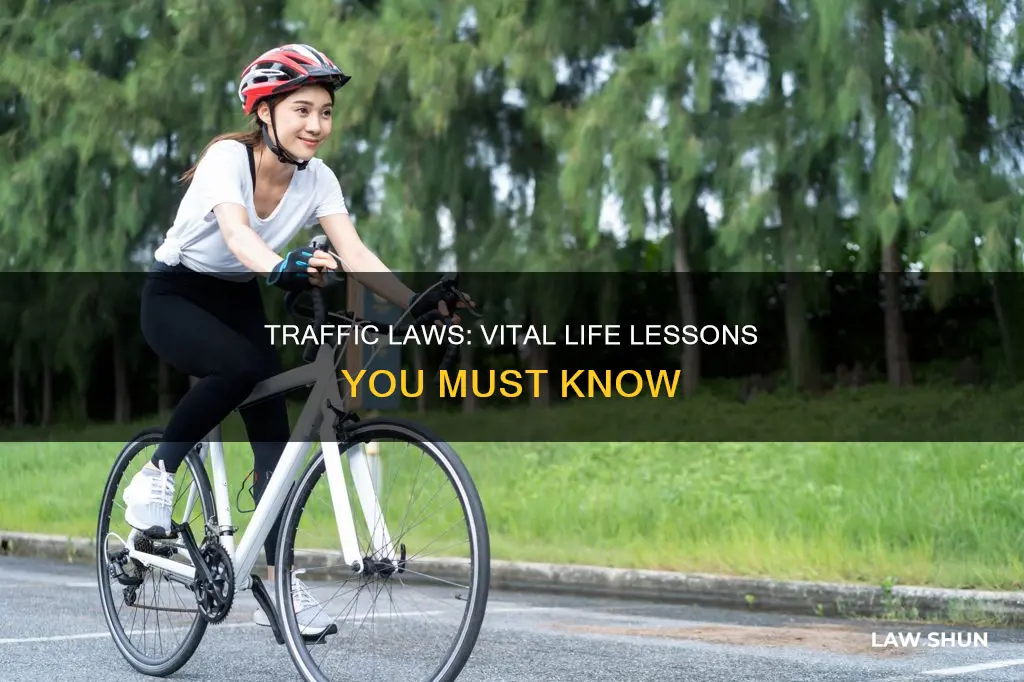 what the common life knowledge of traffic law