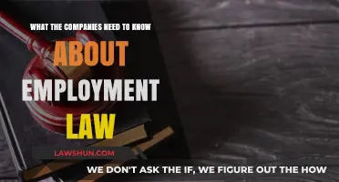 Essential Employment Law Insights Every Company Must Understand Today