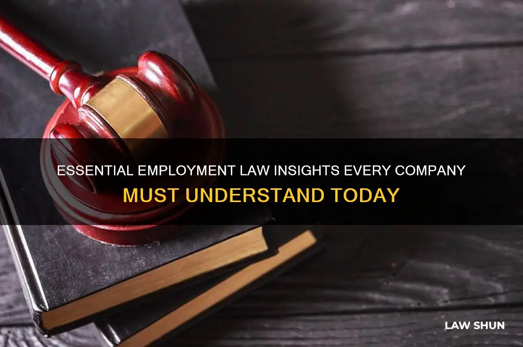 what the companies need to know about employment law