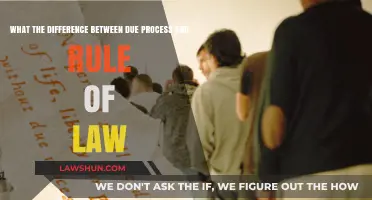 Understanding Due Process and Rule of Law