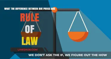 Due Process vs Rule of Law: What's the Difference?