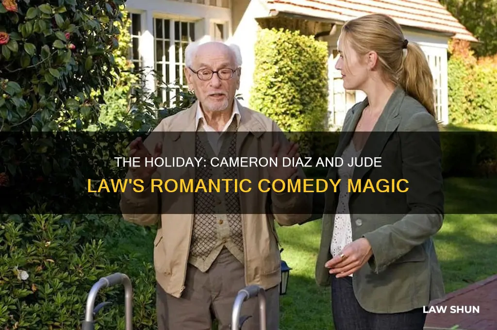 what the holiday movie with caneron diaz and jude law
