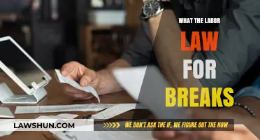 Unraveling Labor Law: Your Rights to Breaks Explained