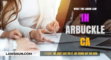 Understanding Arbuckle, CA Labor Laws: Rights, Regulations, and Workplace Compliance