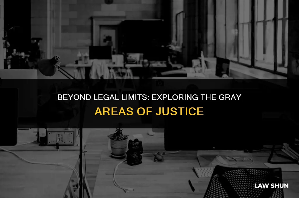 what the law could not do