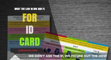 MN vs. FL ID Card Laws: Key Differences and Requirements