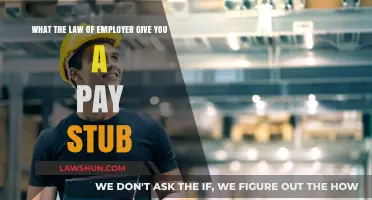 Understanding Your Rights: Employer Pay Stub Requirements by Law
