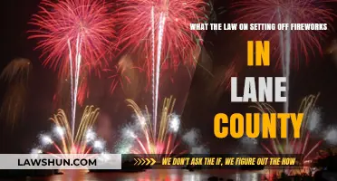 Lane County Fireworks Laws: What You Need to Know