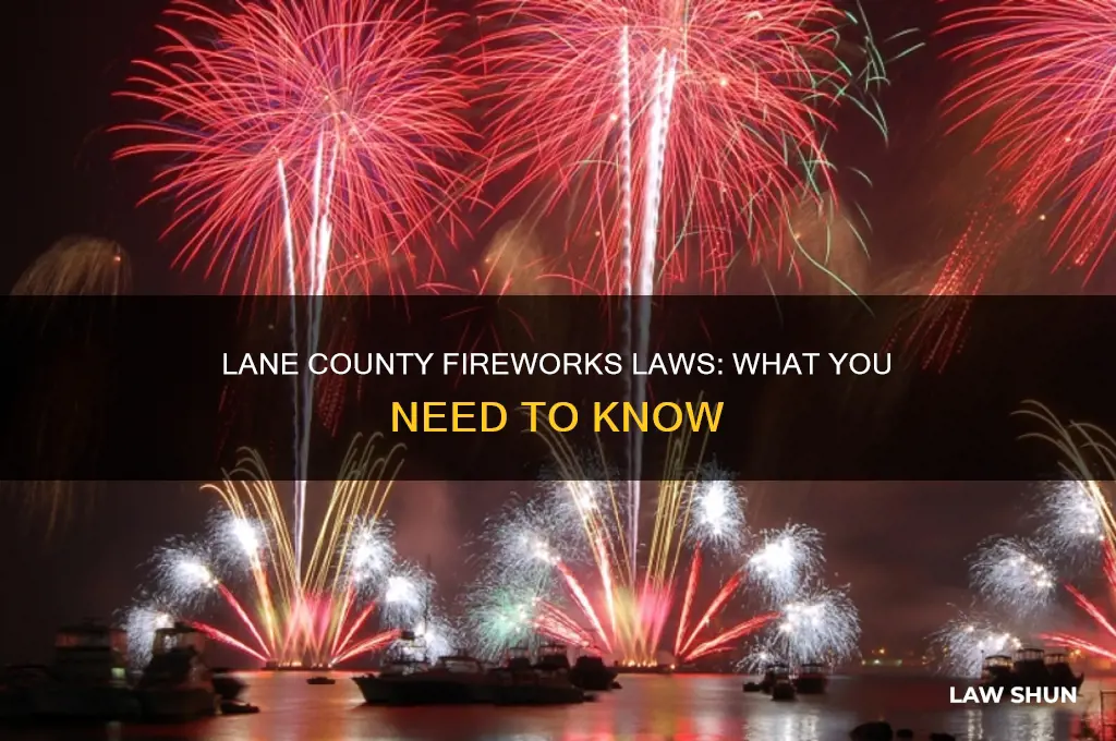 what the law on setting off fireworks in lane county