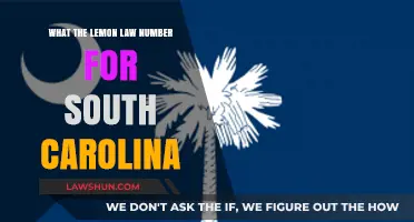 Understanding South Carolina's Lemon Law: Your Consumer Rights Explained