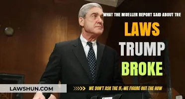 Mueller Report Revelations: Trump's Legal Violations Unveiled and Explained