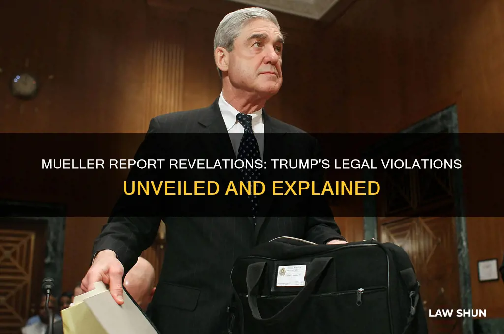 what the mueller report said about the laws trump broke