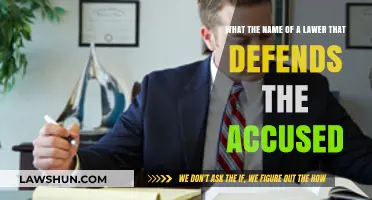 Understanding the Role of a Defense Attorney in Criminal Cases