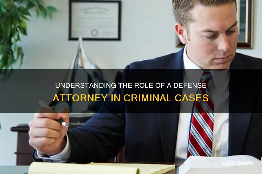 what the name of a lawer that defends the accused