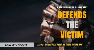 Victim's Advocate: Understanding the Role of a Defense Lawyer