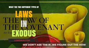 Exodus: Moral and Civil Laws