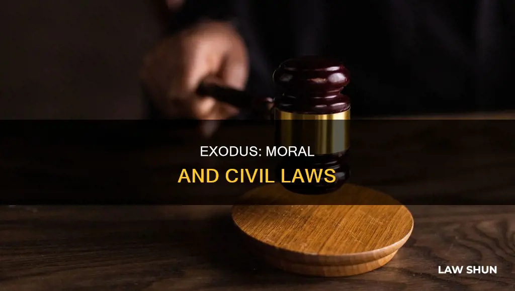 what the two different types of laws in exodus